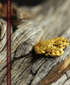 2.00gの蛸のような形をしている自然金-G0451-6