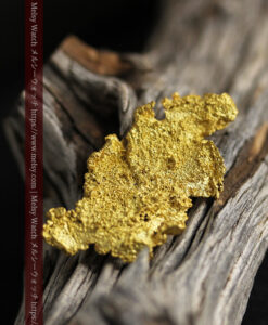 5.0gの非常に珍しい大きなサイズの薄片金・自然金-G0471-11