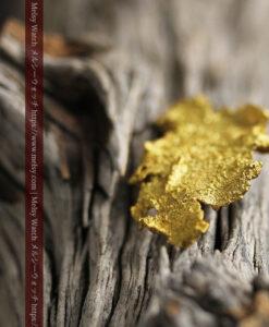 5.0gの非常に珍しい大きなサイズの薄片金・自然金-G0471-14