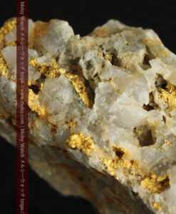 14.9gの石英の中に入り混じる特殊な姿の自然金-G0474-13