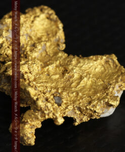 11.1gの海岸のカメノテのような石英を含んだ自然金-G0477-10