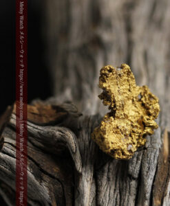 11.1gの海岸のカメノテのような石英を含んだ自然金-G0477-16