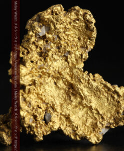 11.1gの海岸のカメノテのような石英を含んだ自然金-G0477-2