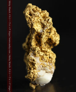 11.1gの海岸のカメノテのような石英を含んだ自然金-G0477-4