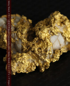 11.1gの海岸のカメノテのような石英を含んだ自然金-G0477-6