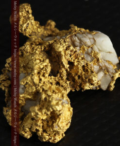 11.1gの海岸のカメノテのような石英を含んだ自然金-G0477-8