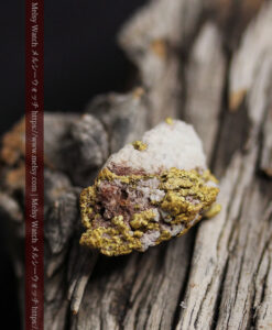 6.54gの石英との絡み方に味のある自然金-G0486-14