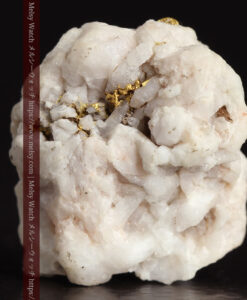 4.31gの細かな石英の連なりと特徴ある並びの自然金-G0487-6