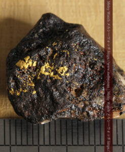 7.67gの西オーストラリア州産の特徴濃い自然金-G0490-16