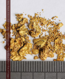 4.03gの砂金から小粒サイズまでの個人採掘家の自然金-G0492-10