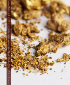 自然金 Gold Nuggets 0.5g コロラド