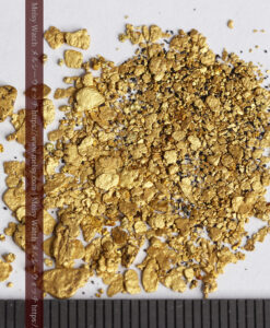 2.97gの小さな砂金・薄片金 ビクトリア州OMEO産-G0495-10