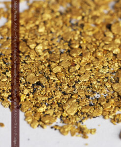 2.97gの小さな砂金・薄片金 ビクトリア州OMEO産-G0495-9