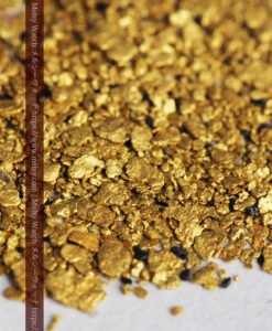 2.32gの小さな砂金・薄片金 ビクトリア州OMEO産-G0498-6