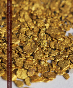 2.32gの小さな砂金・薄片金 ビクトリア州OMEO産-G0498-7