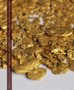 3.07gの小さな砂金・薄片金 ビクトリア州Mitta Mitta産-G0499-8