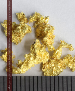 1.85gのトゲトゲの小さな粒のビクトリア州産自然金-G0504-11