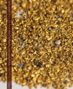 2.85gの砂金・薄片金 ニューサウスウェールズ州Stuart Town産-G0518-6