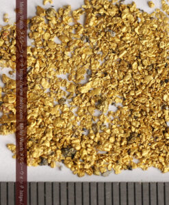 2.70gの砂金・薄片金 ニューサウスウェールズ州Stuart Town産-G0519-11
