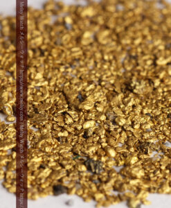 2.70gの砂金・薄片金 ニューサウスウェールズ州Stuart Town産-G0519-3