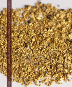 2.70gの砂金・薄片金 ニューサウスウェールズ州Stuart Town産-G0519-8