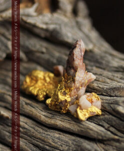 2.94gの４点の小さなクイーンズランド州産自然金-G0529-3