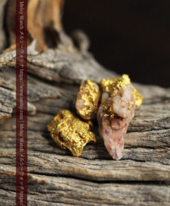 2.94gの４点の小さなクイーンズランド州産自然金-G0529-4