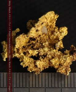 8.48gの荒々しい凹凸が魅力の西オーストラリア州産の大きめの自然金-G0535-13