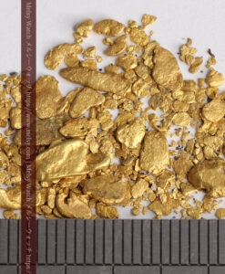 3.51gの小粒サイズの自然金・薄片金 ニューサウスウェールズ州産-G0537-11