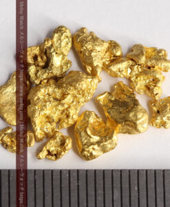 4.46gのビクトリア州産の1g超え1点を含む小粒自然金11点-G0539-11