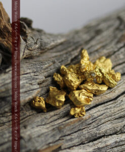 4.46gのビクトリア州産の1g超え1点を含む小粒自然金11点-G0539-2