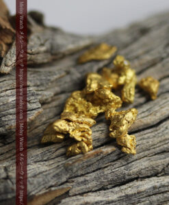 4.46gのビクトリア州産の1g超え1点を含む小粒自然金11点-G0539-3