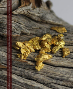 4.46gのビクトリア州産の1g超え1点を含む小粒自然金11点-G0539-5