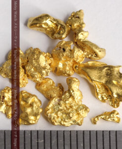 4.57gのビクトリア州産の1g弱1点を含む小粒自然金11点-G0540-11