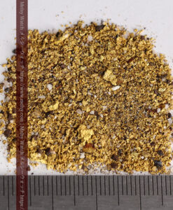 6.0gの砂金・小粒金 クイーンズランド州Clermont産-G0541-12