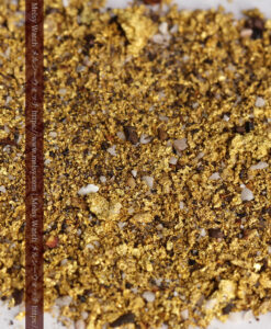 6.0gの砂金・小粒金 クイーンズランド州Clermont産-G0541-3