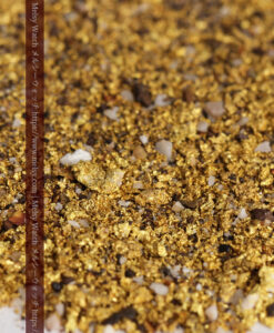 6.0gの砂金・小粒金 クイーンズランド州Clermont産-G0541-5