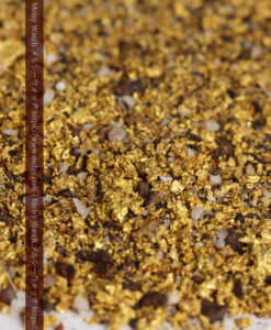 6.0gの砂金・小粒金 クイーンズランド州Clermont産-G0541-6