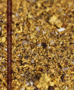 6.0gの砂金・小粒金 クイーンズランド州Clermont産-G0541-7