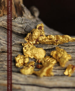 3.49gのビクトリア州産の小粒自然金11点 薄く長細い自然金有-G0545-3