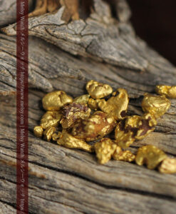 3.86gのビクトリア州産の小粒自然金20点-G0548-3