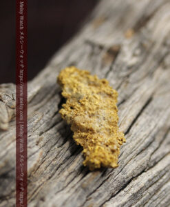 3.46gの特徴ある繊細な形の入手しづらい珍しい自然金-G0559-2