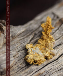 2.34gの非常に繊細かつ脆い作りの入手しづらい珍しい自然金-G0561-4