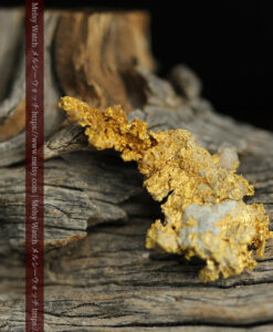 2.34gの非常に繊細かつ脆い作りの入手しづらい珍しい自然金-G0561-5