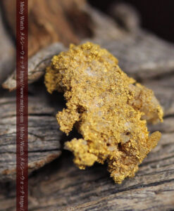 2.0gの細やかで繊細な入手しづらい珍しい自然金-G0562-3