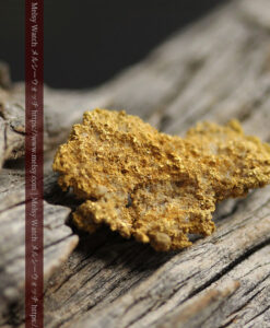 2.56gの非常に細かい粒が見える繊細な自然金-G0565-14