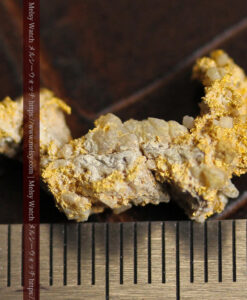 1.92gの芋虫のようなちょっと変わった形の自然金-G0567-13