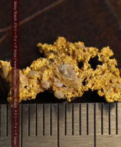 1.21gの魚のような形で薄く繊細な組成の自然金-G0569-14