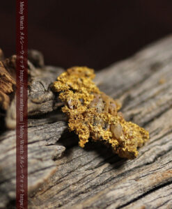 1.21gの魚のような形で薄く繊細な組成の自然金-G0569-3