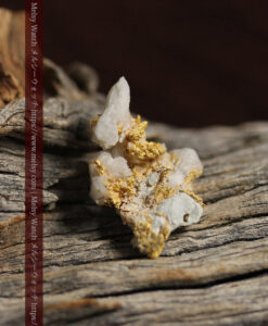 1.58gの粒の大きな石英と微細な金の結合が面白い自然金-G0570-10